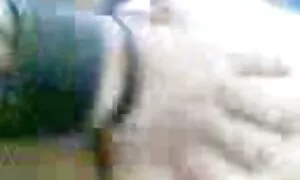 මැලේ ක්‍රියාව 5 1 ගු ...