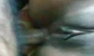 සරාගී පරිණත ඉන්දියාන ...